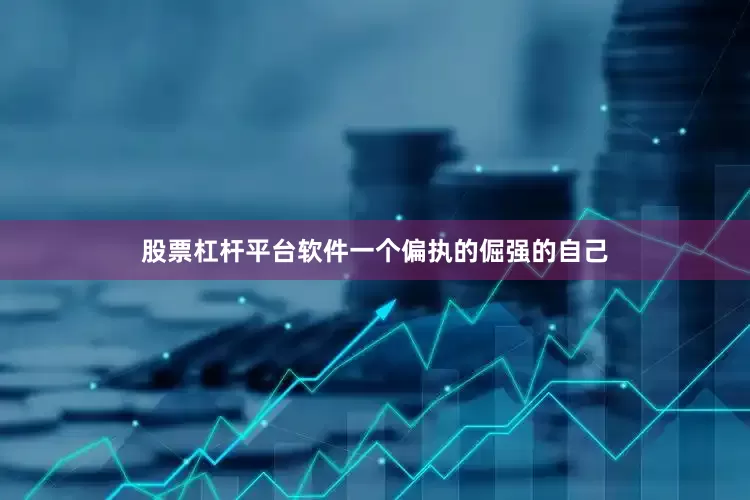 股票杠杆平台软件一个偏执的倔强的自己
