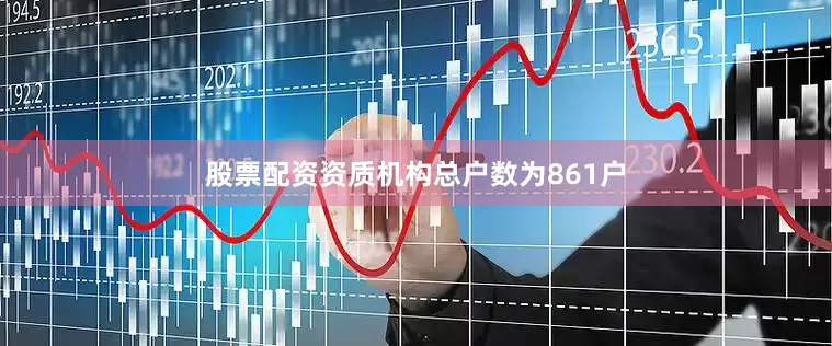 股票配资资质机构总户数为861户