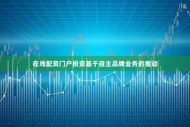 在线配资门户投资基于自主品牌业务的推动