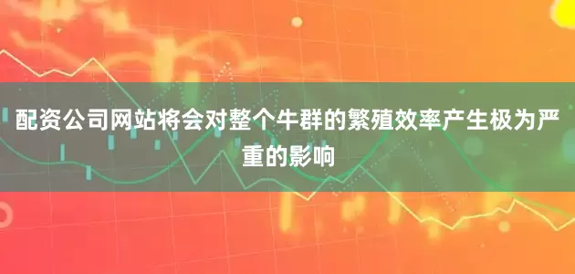 配资公司网站将会对整个牛群的繁殖效率产生极为严重的影响