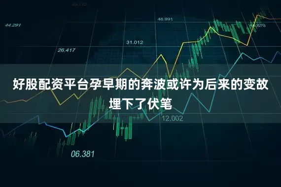好股配资平台孕早期的奔波或许为后来的变故埋下了伏笔