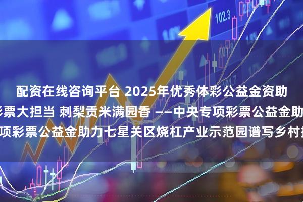 配资在线咨询平台 2025年优秀体彩公益金资助项目媒体采风活动 小彩票大担当 刺梨贡米满园香 ——中央专项彩票公益金助力七星关区烧杠产业示范园谱写乡村振兴新篇章